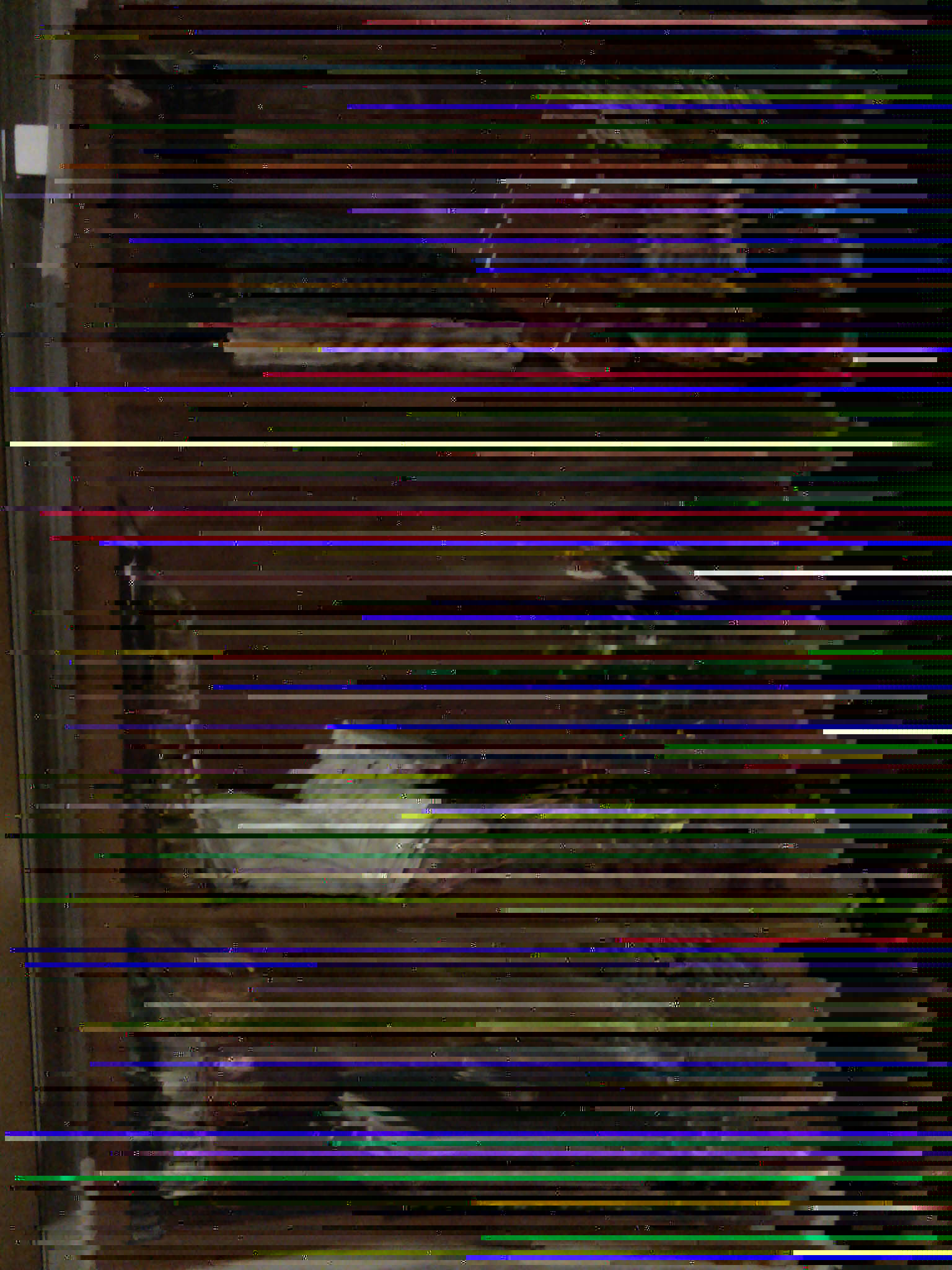 IMG_20160219_193624 Kopie.jpg